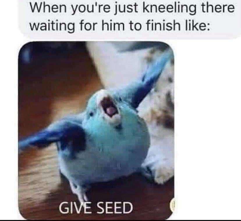 The meme is a humorous image of a bird with a surprised expression, captioned "When you're just about to finish a task, but someone else intervenes". The image is meant to convey a sense of frustration and annoyance at being interrupted.